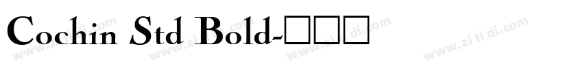Cochin Std Bold字体转换